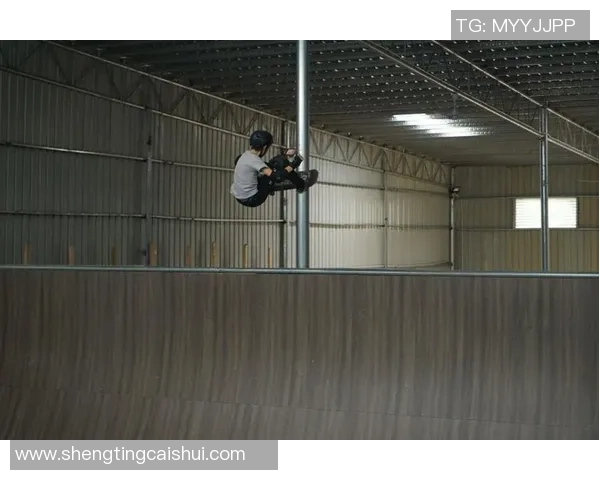 武汉滑板队在极限运动嘉年华中以99分高居积分榜首位