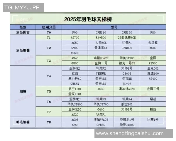 武汉羽毛球队在锦标赛中的实力展现与未来发展潜力分析